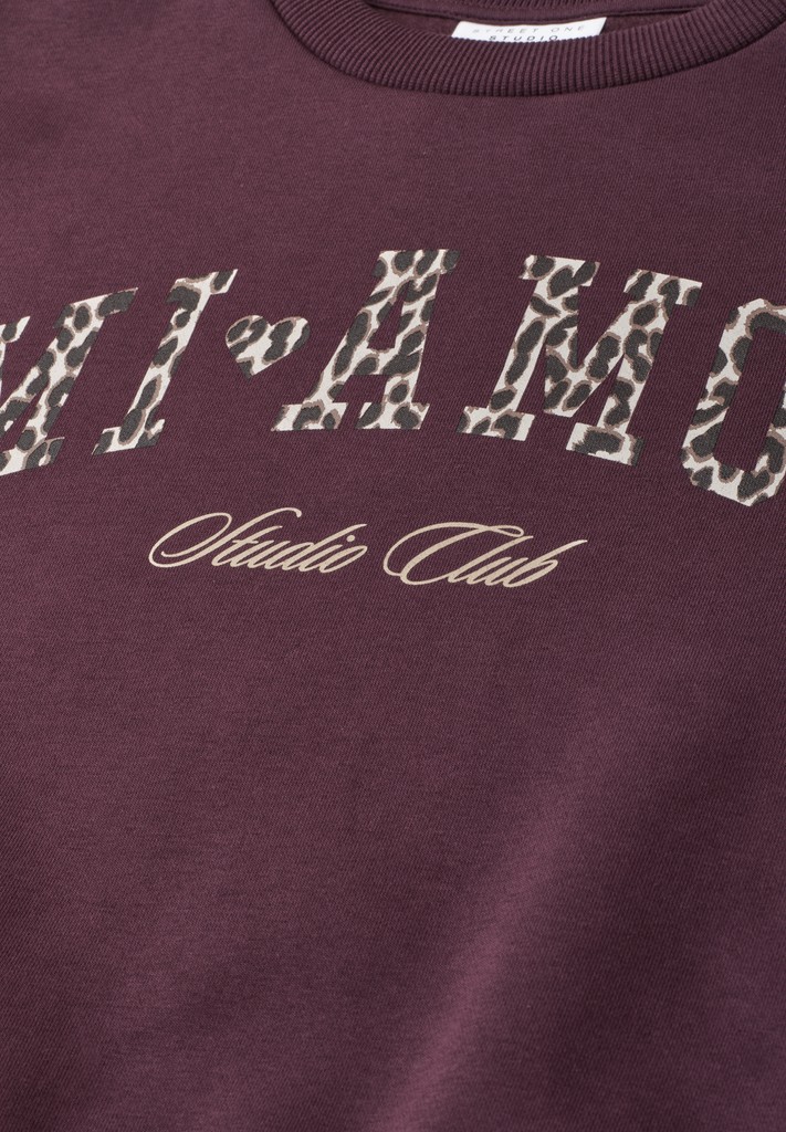 Crewneck Sweatshirt im Loose Fit