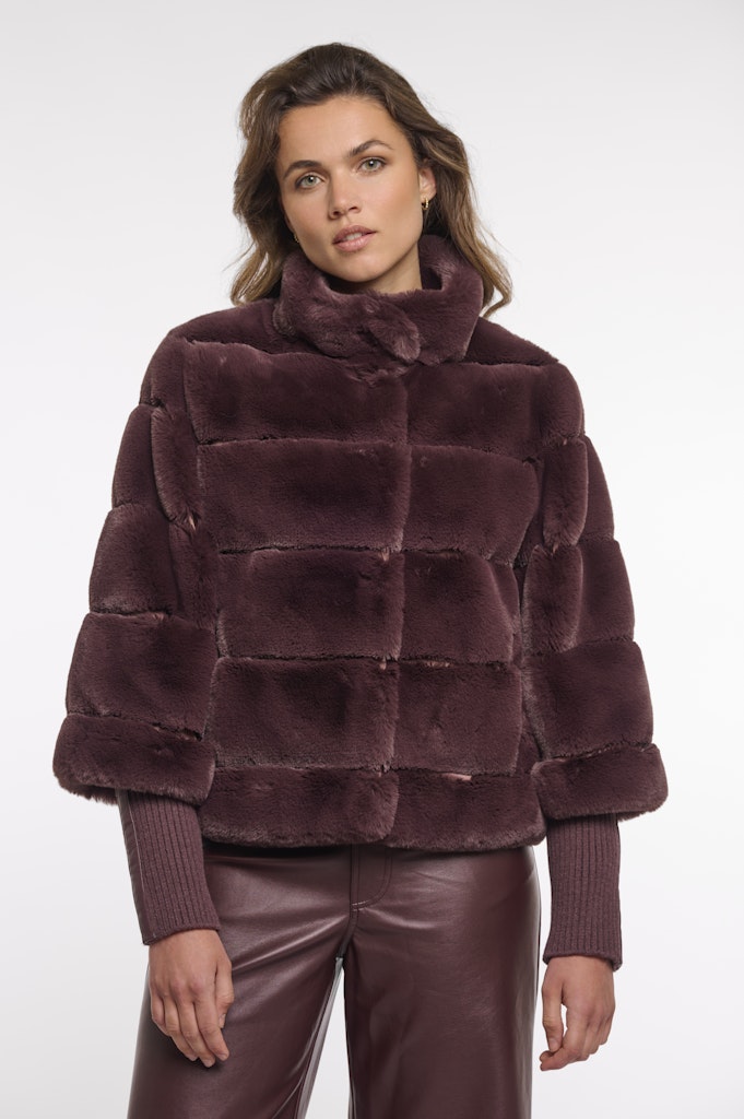 Feline.7002512 Feline.7002512