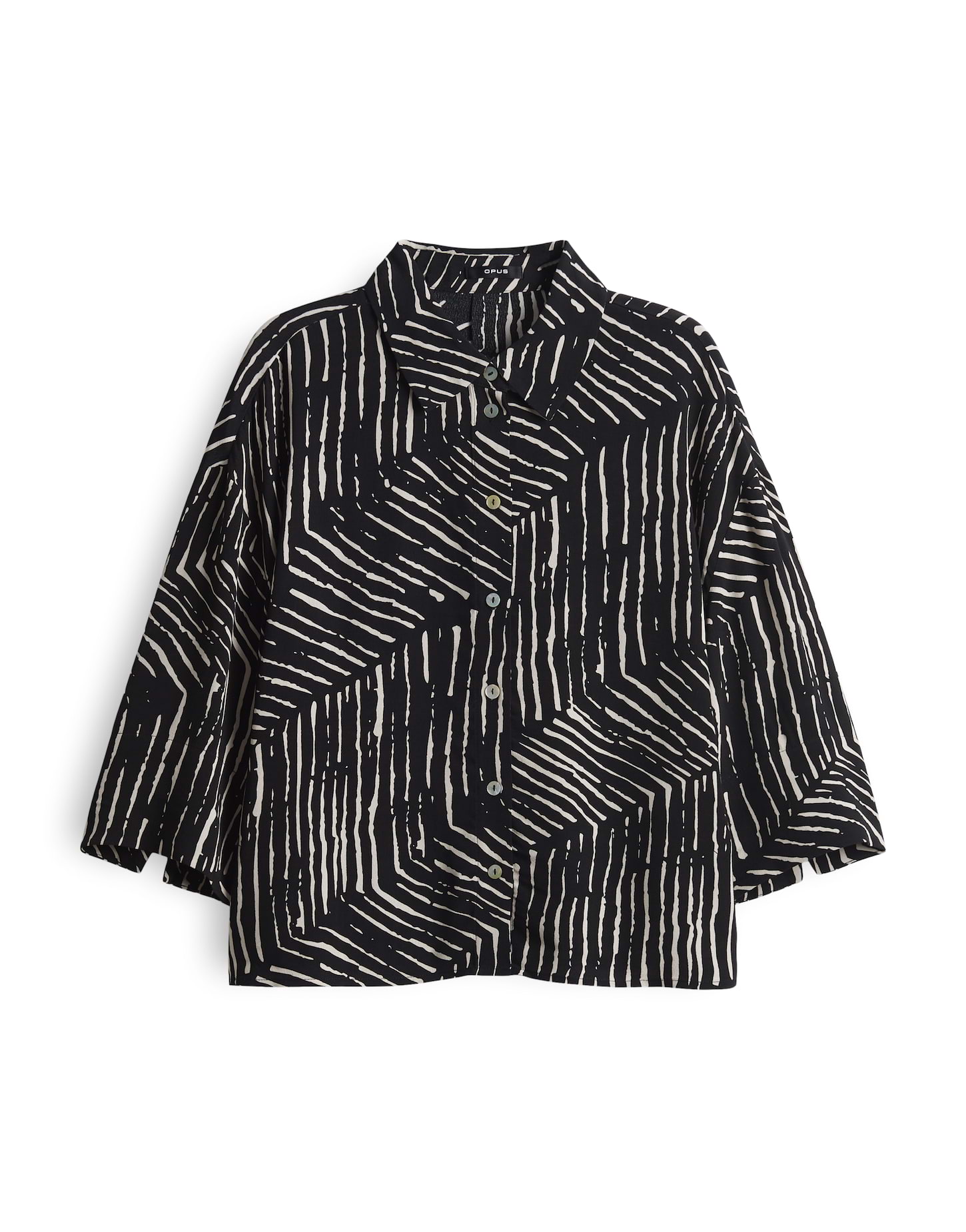 Fiana palm leaves Fiana palm leaves