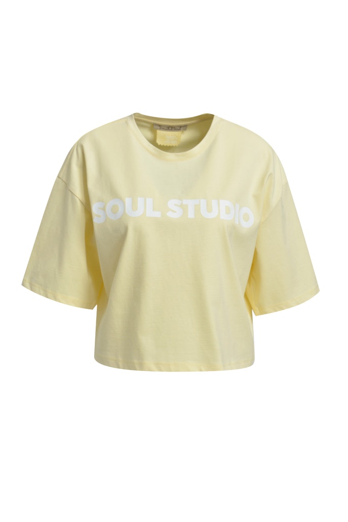 0326-0383F-BOXY CROPPED T-SHIRT SOUL STU
