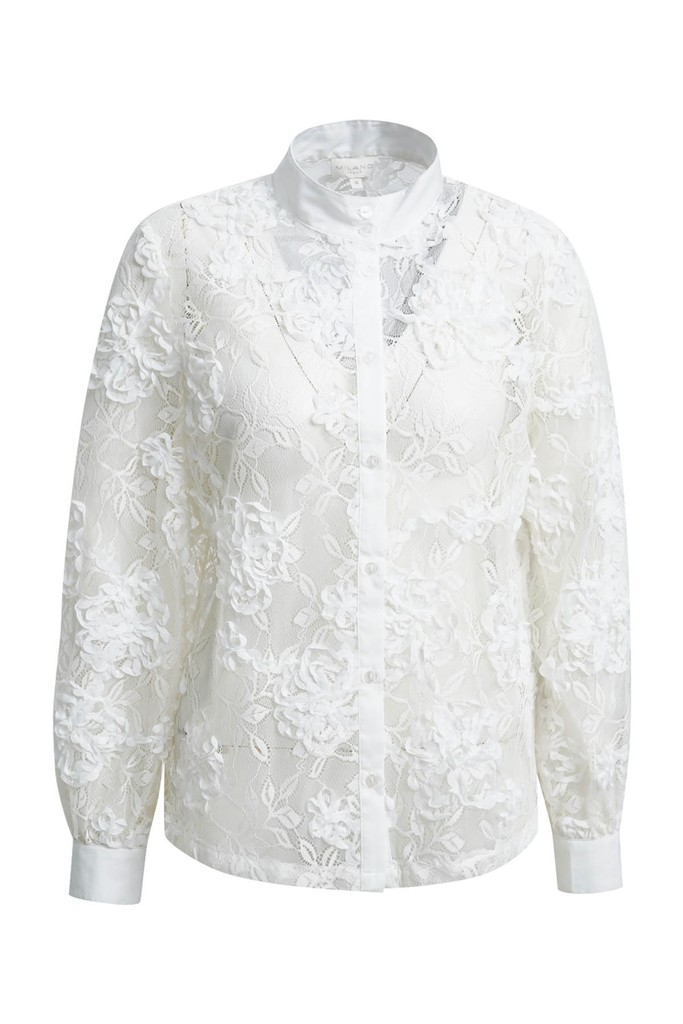 lace blouse with 1/1 sleeves