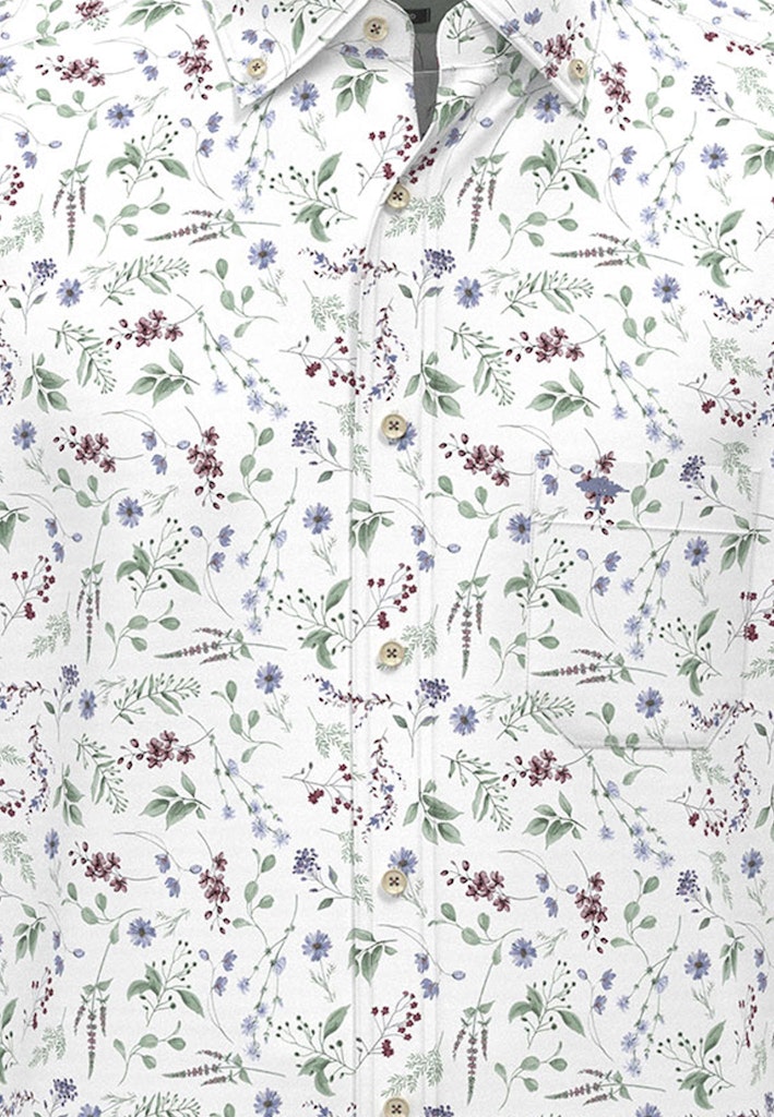 Washed Oxford Print, B.D., 1/1