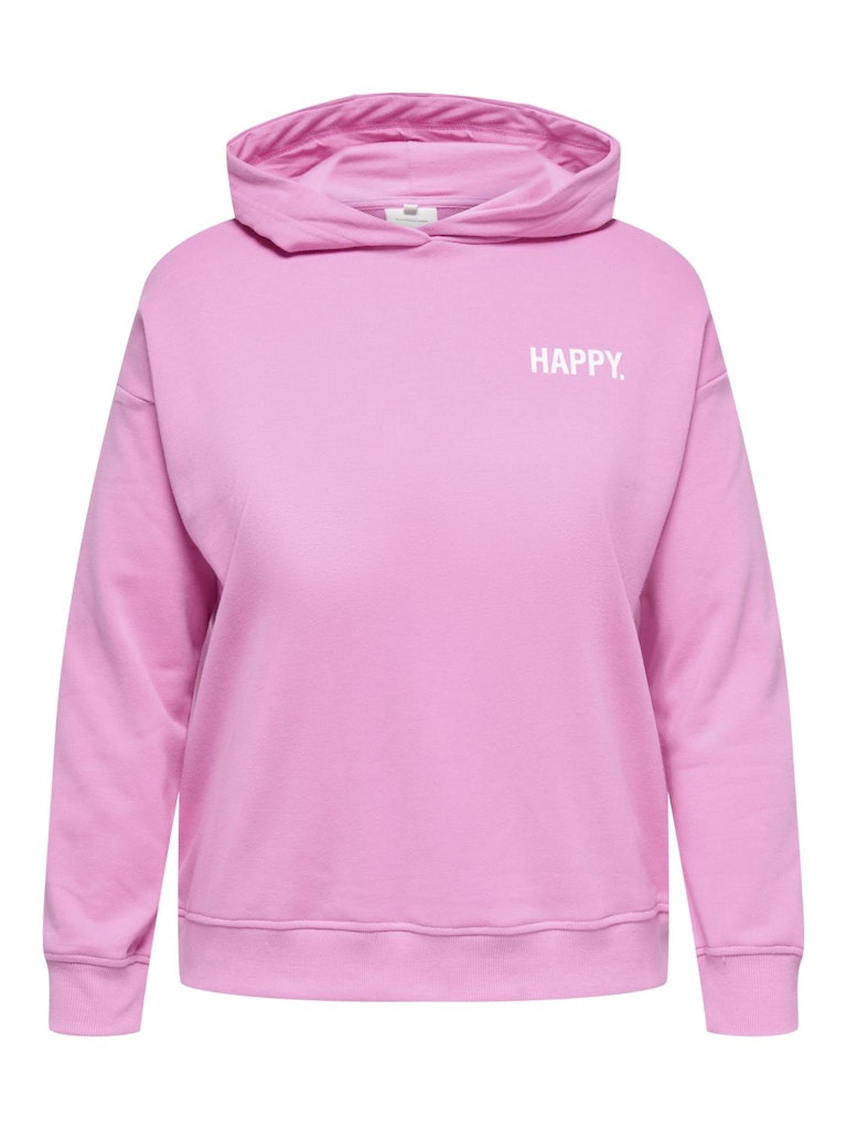 CARKACEY FADE L/S HOOD SWT
