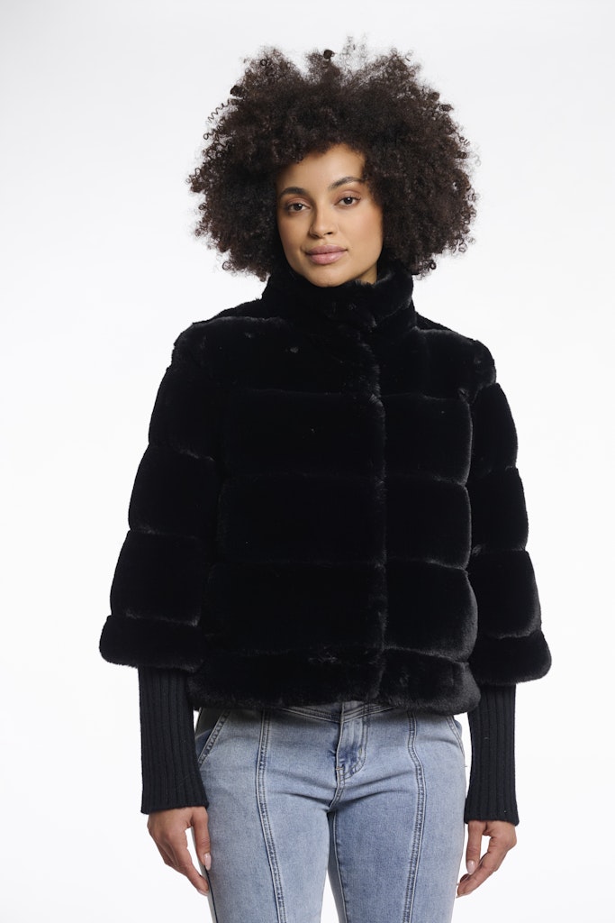 Feline.7002512 Feline.7002512