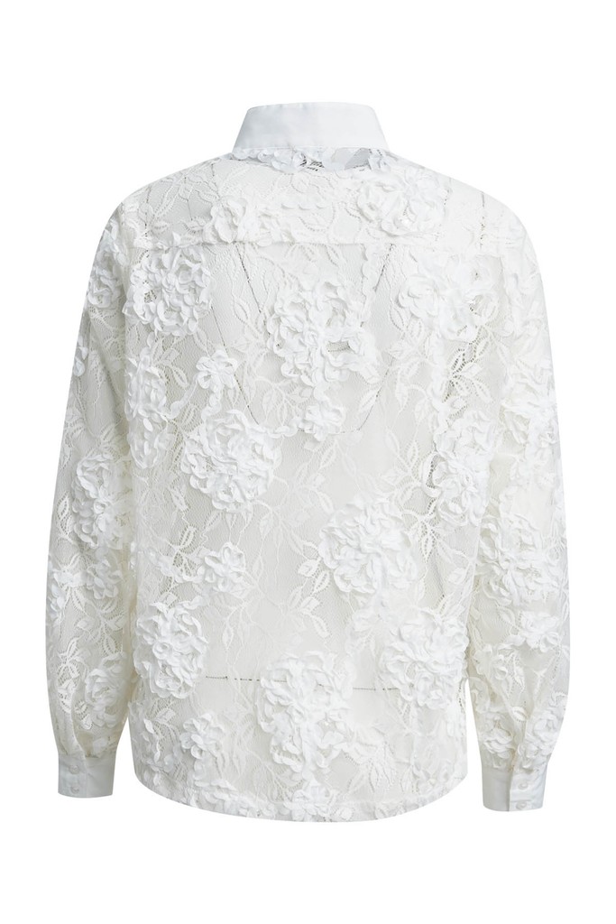 lace blouse with 1/1 sleeves